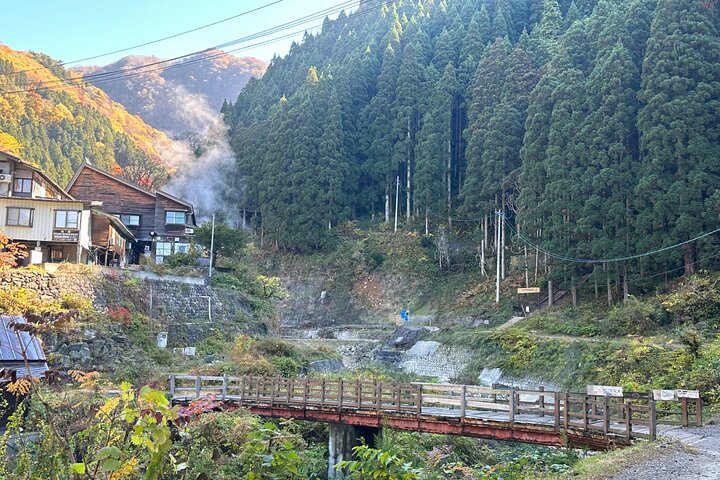 1-tägige private Schneeaffen-ZenkoJi-Tempel- und Sake-Verkostung durch Nagano