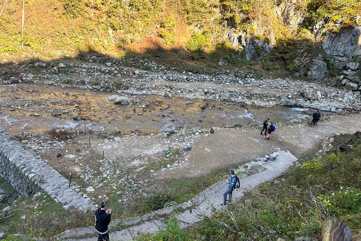 1-tägige private Schneeaffen-ZenkoJi-Tempel- und Sake-Verkostung durch Nagano