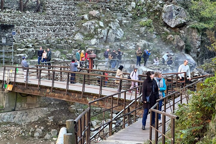 1-tägige private Schneeaffen-ZenkoJi-Tempel- und Sake-Verkostung durch Nagano