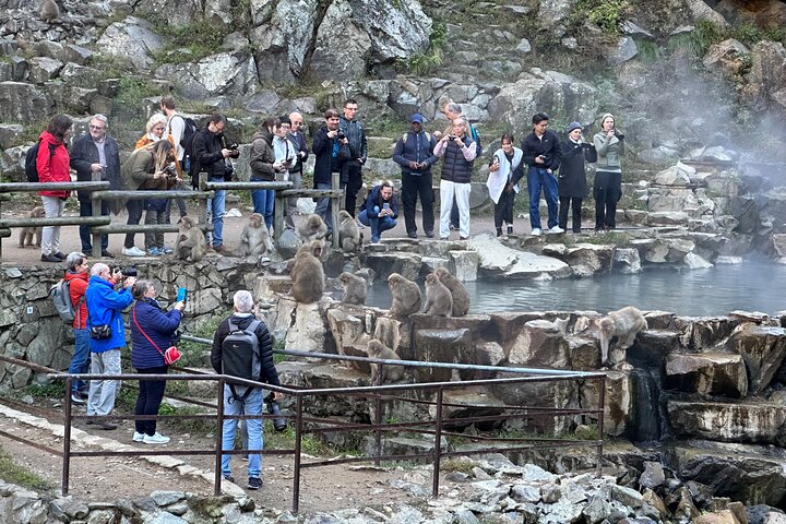 1-tägige private Schneeaffen-ZenkoJi-Tempel- und Sake-Verkostung durch Nagano