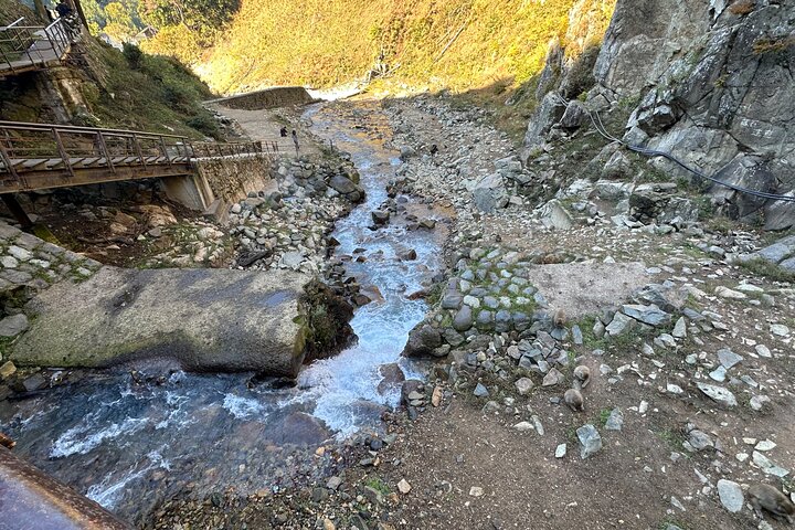 1-tägige private Schneeaffen-ZenkoJi-Tempel- und Sake-Verkostung durch Nagano