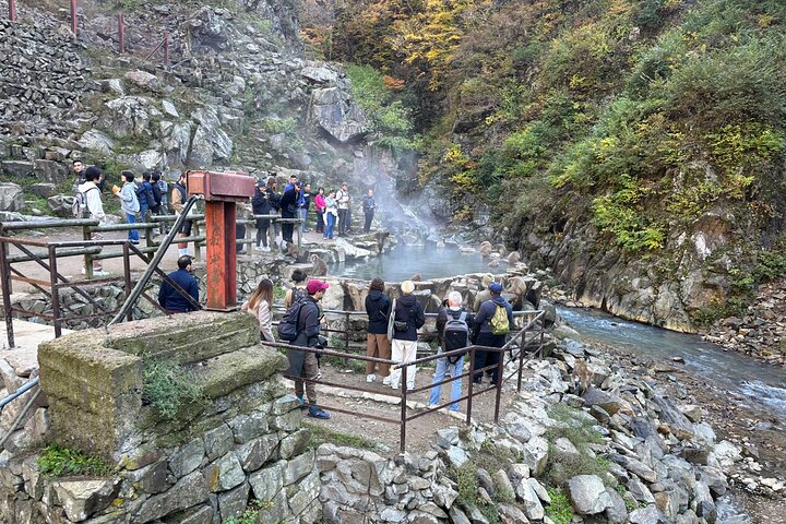 1-tägige private Schneeaffen-ZenkoJi-Tempel- und Sake-Verkostung durch Nagano