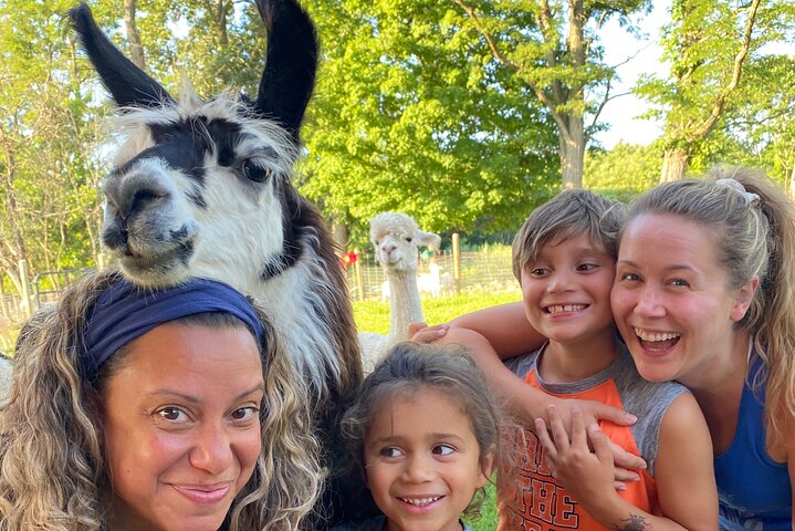 Tour por la granja en Clover Brooke Llama/Alpaca/Goat Farm