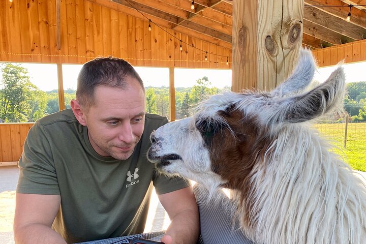Tour por la granja en Clover Brooke Llama/Alpaca/Goat Farm