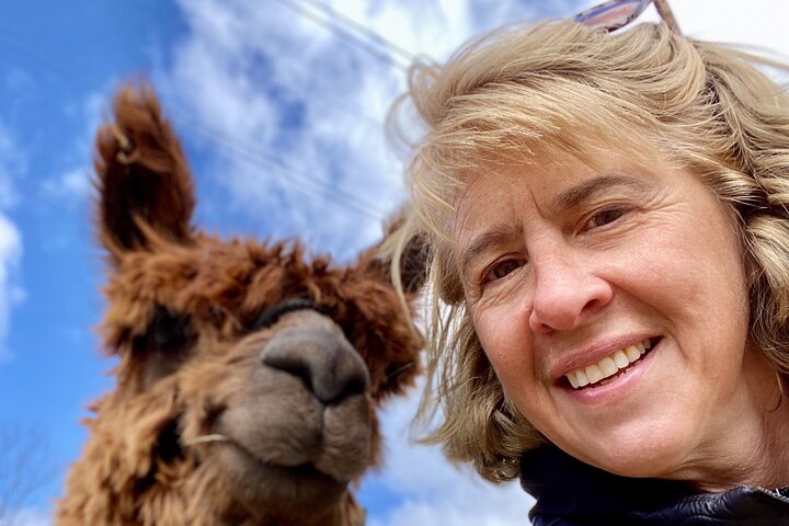 Tour por la granja en Clover Brooke Llama/Alpaca/Goat Farm