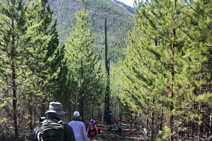 Natuurwandeling in Glacier National Park