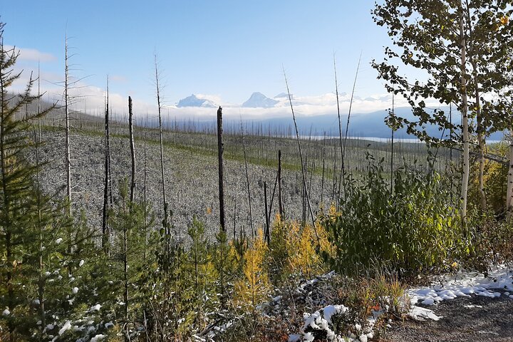 Natuurwandeling in Glacier National Park