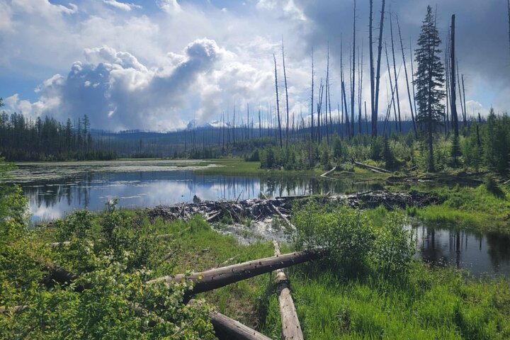 Natuurwandeling in Glacier National Park
