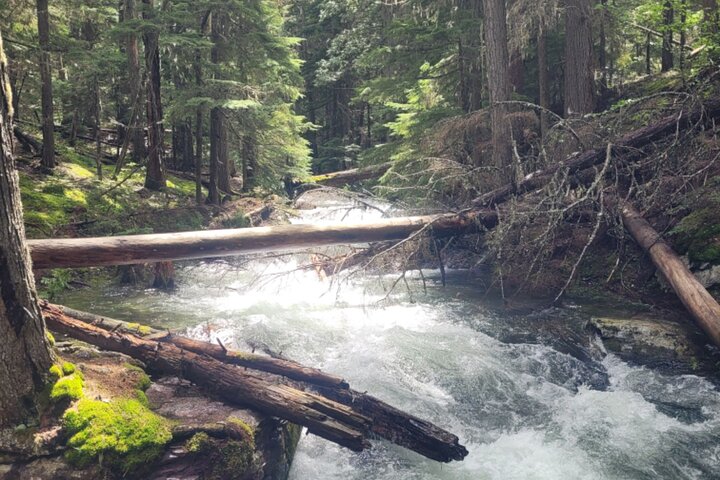 Natuurwandeling in Glacier National Park