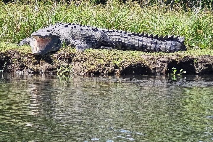 Traslado de Tortuguero a Moin en bote