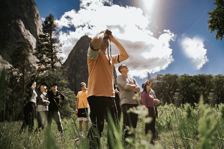 Excursión al Parque Nacional de Yosemite y Secuoyas Gigantes desde San José