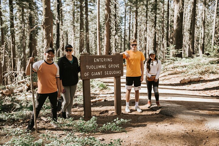 Excursión al Parque Nacional de Yosemite y Secuoyas Gigantes desde San José