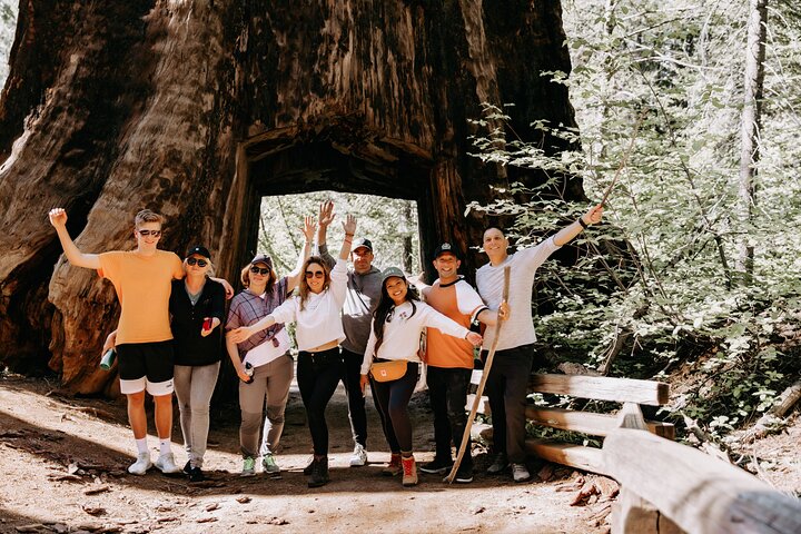 Excursión al Parque Nacional de Yosemite y Secuoyas Gigantes desde San José