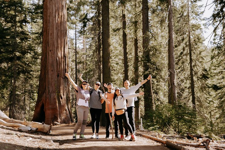 Excursión al Parque Nacional de Yosemite y Secuoyas Gigantes desde San José