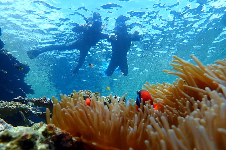 Plongée avec tuba sur l'île fantôme d'Okinawa Ishigaki et la grotte bleue