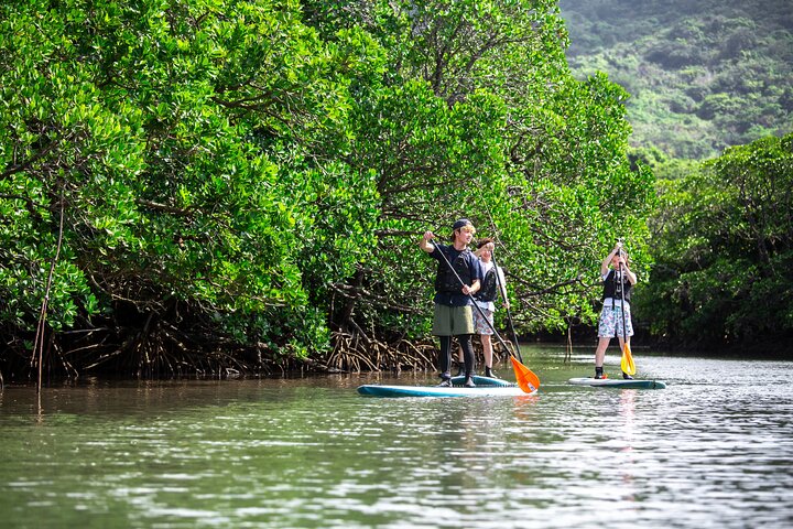 SUP ou canoë dans la mangrove d'Ishigaki + plongée avec tuba dans la Grotte Bleue