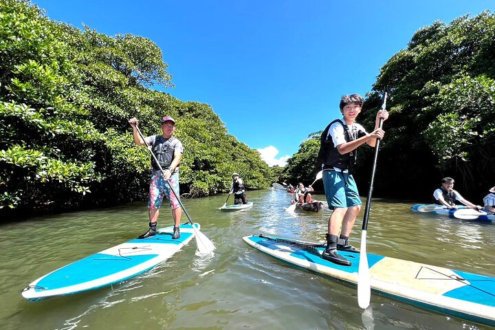 SUP ou canoë dans la mangrove d'Ishigaki + plongée avec tuba dans la Grotte Bleue