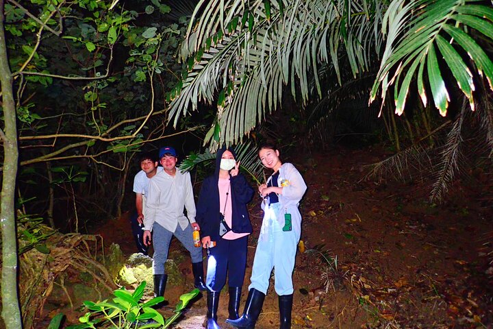 Okinawa Ishigaki Island Night Tour notturno del cielo stellato e della giungla