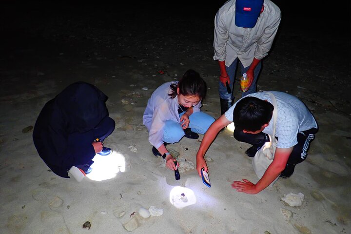 Okinawa Ishigaki Island Night Tour notturno del cielo stellato e della giungla