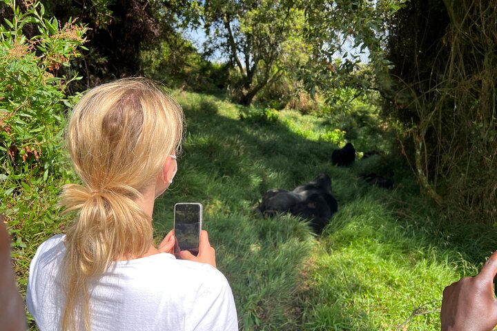 Gorilla Trekking di 1 giorno Mgahinga Gorilla NP e Lago Bunyonyi