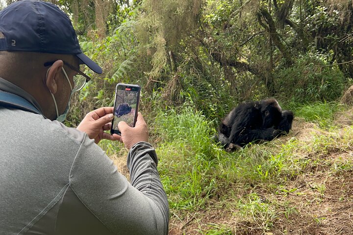 Gorilla Trekking di 1 giorno Mgahinga Gorilla NP e Lago Bunyonyi