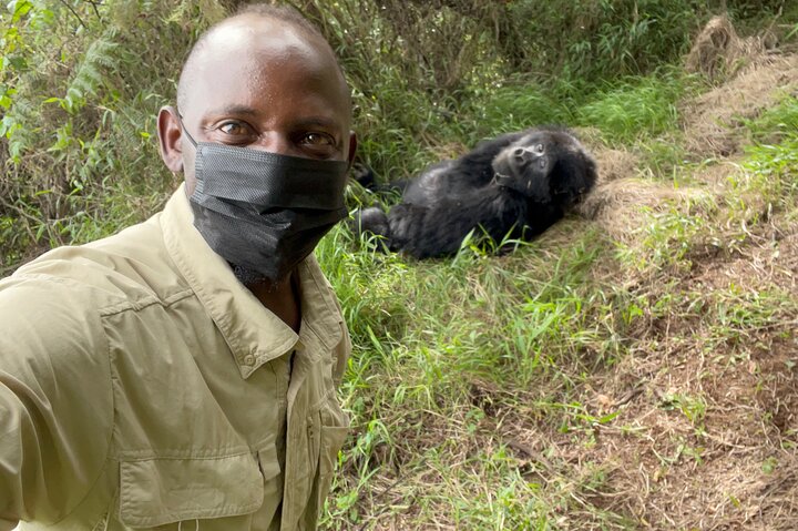 Gorilla Trekking di 1 giorno Mgahinga Gorilla NP e Lago Bunyonyi