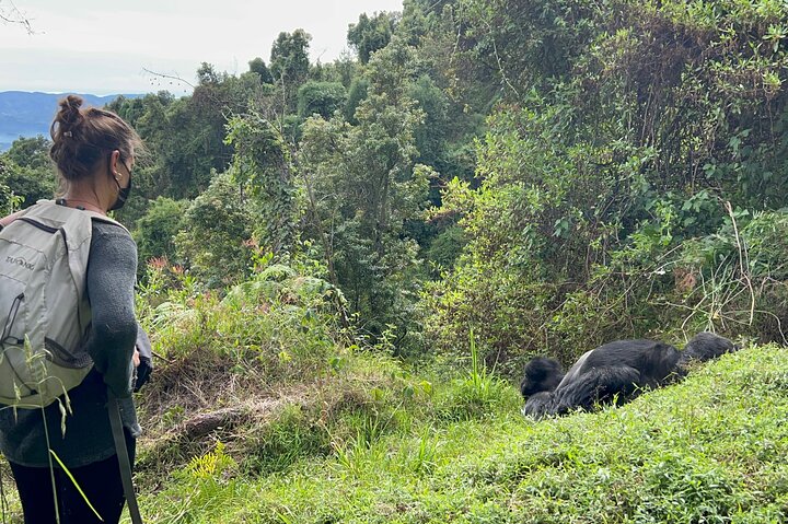 Gorilla Trekking di 1 giorno Mgahinga Gorilla NP e Lago Bunyonyi