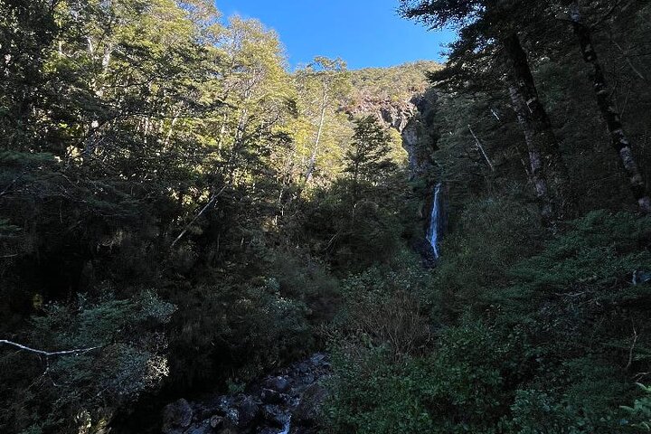 Arthurs Pass et excursion d'une journée dans les Alpes du Sud depuis Port Lyttelton ou Christchurch