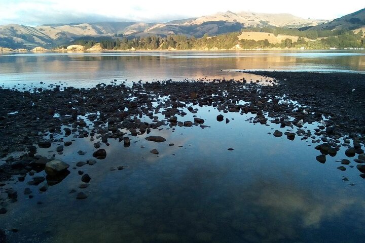 Privat dag naturskjønn ekskursjon til Akaroa/Christchurch ex Lyttelton