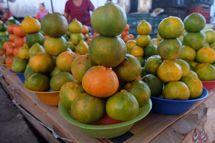 Rundtur i den muromgärdade staden Campeche + San Miguel-fortet