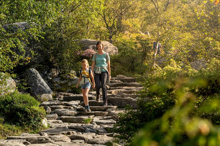 Preikestolen | Kanzelfelsen - Wanderung mit Fachkundiger Tourleiter