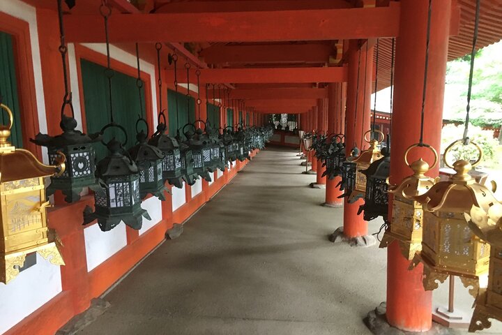 Tour a piedi di mezza giornata a Nara (opzione privata disponibile)
