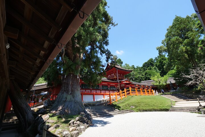 Tour a piedi di mezza giornata a Nara (opzione privata disponibile)