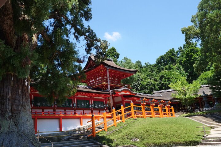 Tour a piedi di mezza giornata a Nara (opzione privata disponibile)