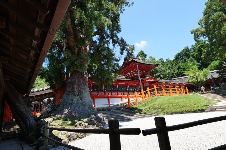 Tour a piedi di mezza giornata a Nara (opzione privata disponibile)