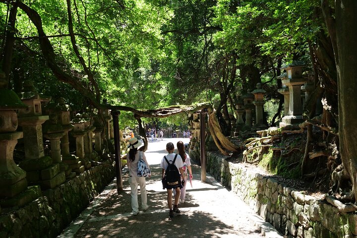 Tour a piedi di mezza giornata a Nara (opzione privata disponibile)