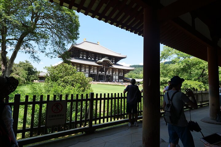 Tour a piedi di mezza giornata a Nara (opzione privata disponibile)