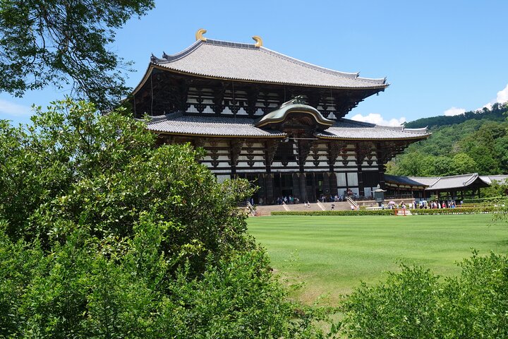 Tour a piedi di mezza giornata a Nara (opzione privata disponibile)