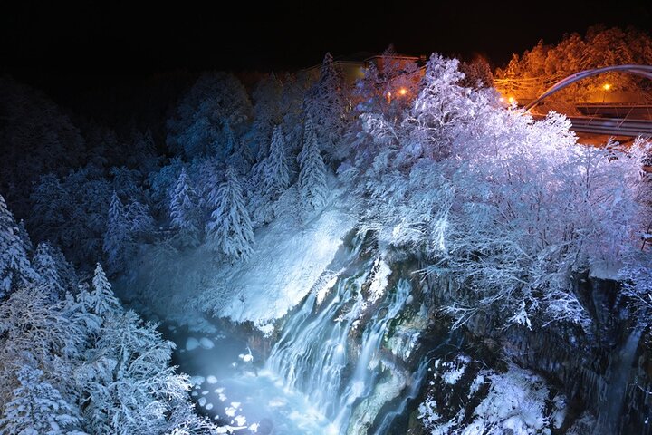 【Private Car】Asahiyama Zoo, Blue Pond, Shirahige Falls, Ningle Terrace (from Sapporo)