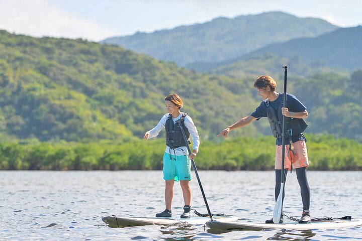 Okinawa Iriomote SUP or Canoe and Sightseeing in Yubujima Island