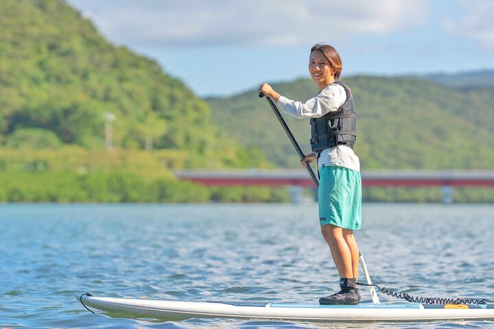 Okinawa Iriomote Island 1-dags mangrove-SUP eller kanosejlads og canyoning