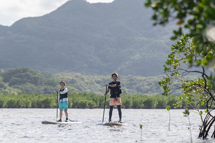 Okinawa Iriomote Island 1-dags mangrove-SUP eller kanosejlads og canyoning
