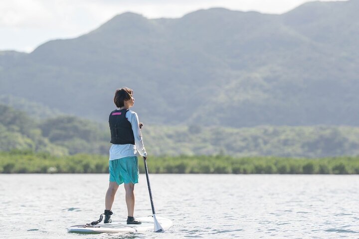 Okinawa Iriomote Island 1-dags mangrove-SUP eller kanosejlads og canyoning