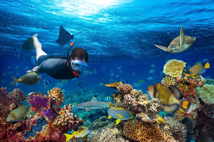 Tour privado de snorkel de medio día en la isla Maafushi