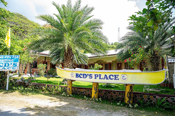 Da Cebu : Oslob Whale Shark Swimming & Moalboal Sardine Run Tour