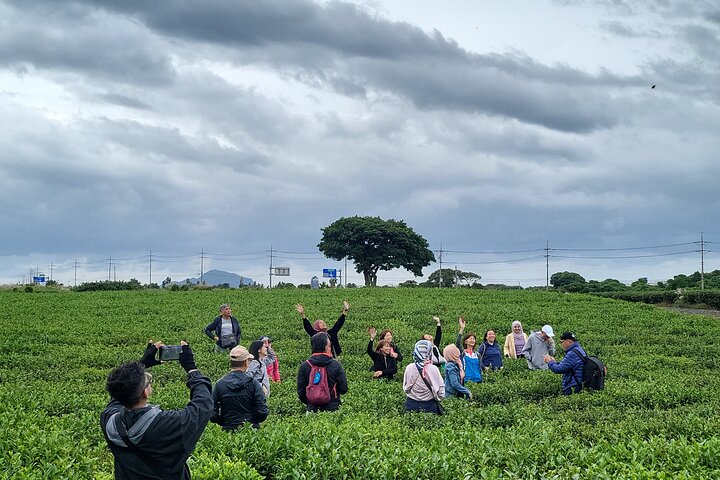 Passeio privado de um dia a leste, sul e oeste de todas as áreas da ilha de Jeju