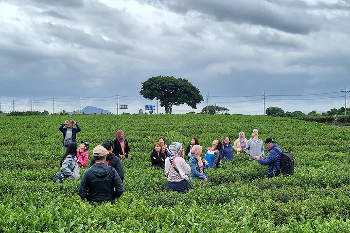 Passeio privado de um dia a leste, sul e oeste de todas as áreas da ilha de Jeju