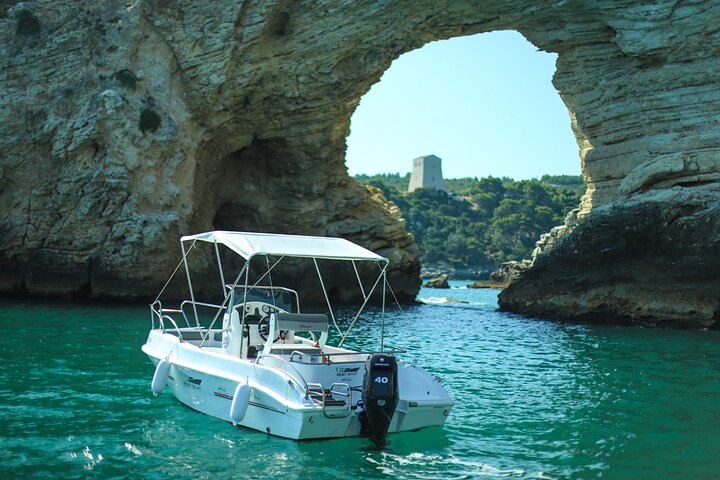 Alquiler barco 40hp equipado en Vieste sin licencia durante 4 horas