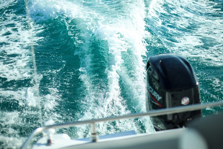 Alquiler barco 40hp equipado en Vieste sin licencia durante 4 horas