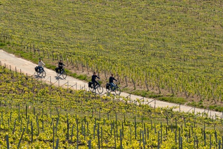 Da Reims pomeriggio tour in e-bike, visita e degustazioni di champagne